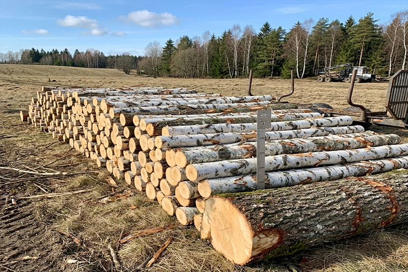 Birkenrundholz – Halbe LKW-Ladung 22,5 m³ (22,5 RM)